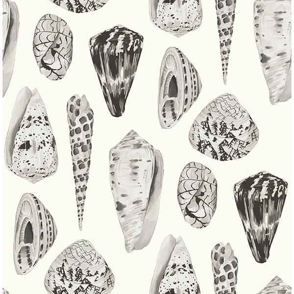 Graphite Coquina Scalamandre Self Adhesive Wallpaper - York Wallcoverings - SCS3882 - York Wallcoverings Wallpaper