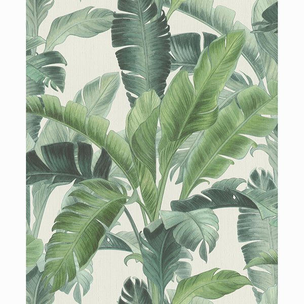 orissa-green-palm-frond-wallpaper-york-wallcoverings-rh536683 - York Wallcoverings Wallpaper