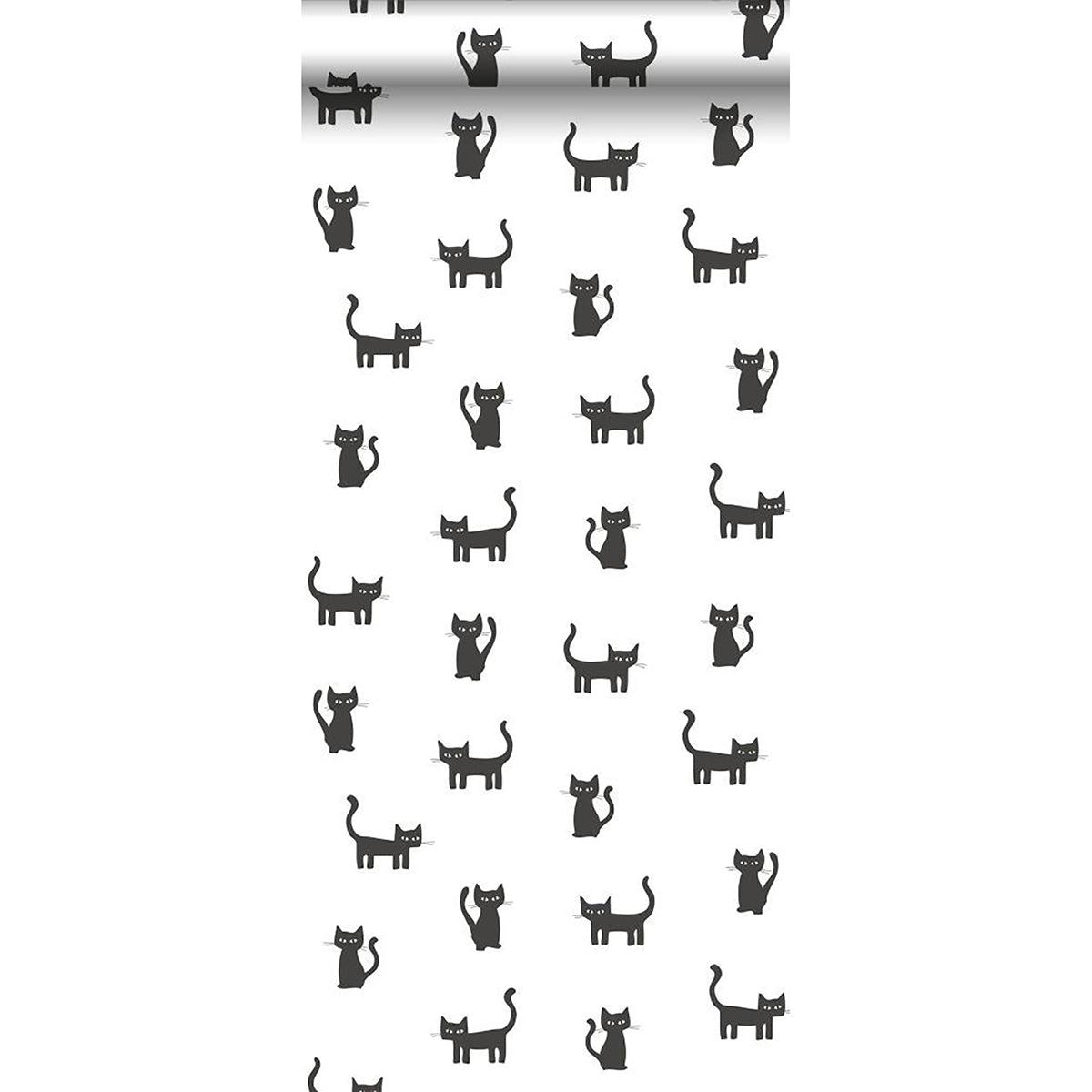 salem-black-kittens-wallpaper-york-wallcoverings-dd138928 - York Wallcoverings Wallpaper