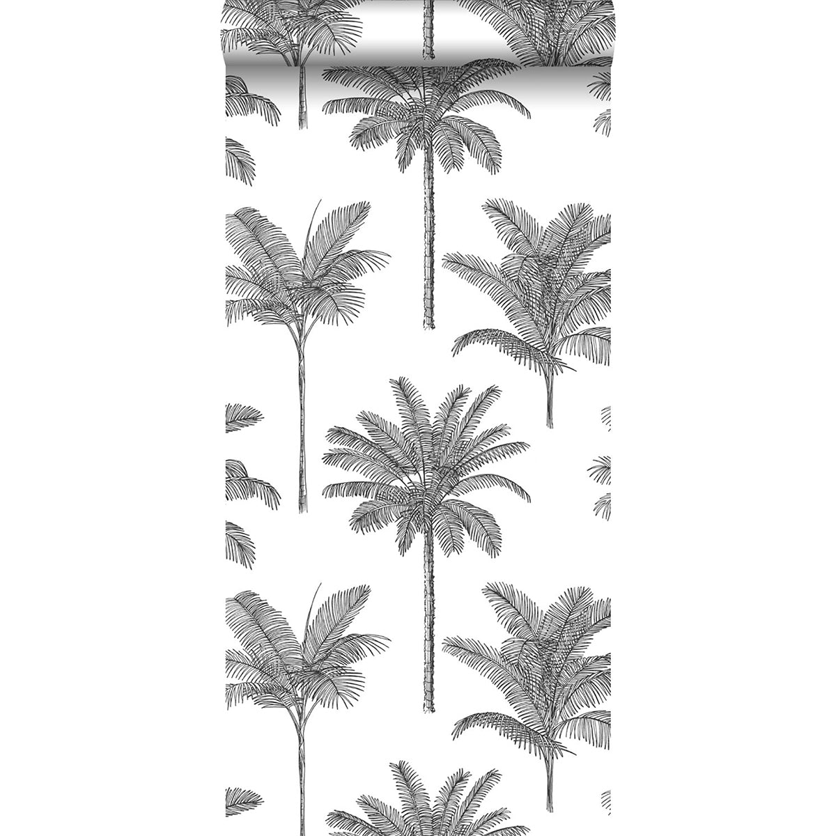taj-charcoal-palm-trees-wallpaper-york-wallcoverings-dd139162 - York Wallcoverings Papel pintado