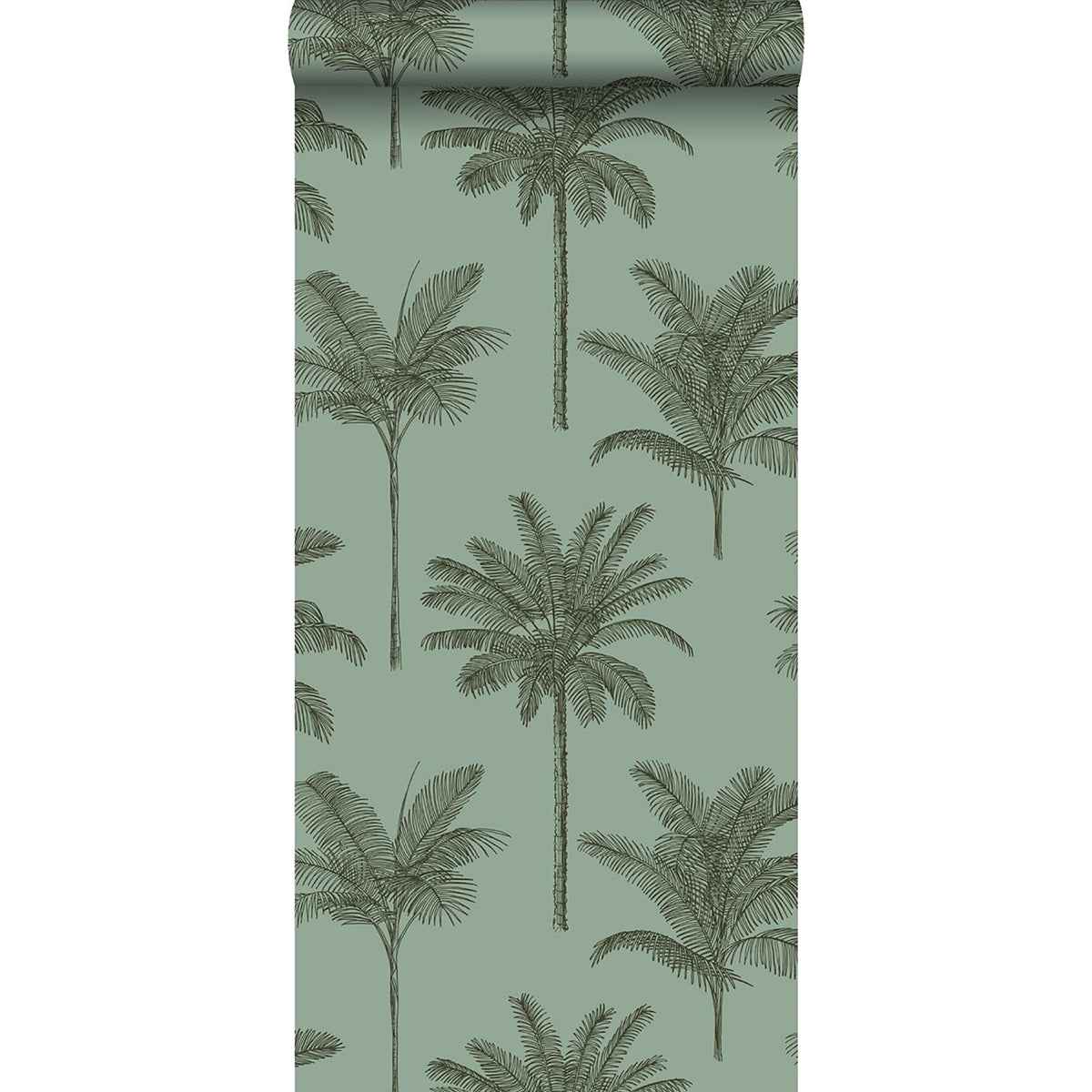 Taj Sage Palm Trees Wallpaper - York Wallcoverings - DD139165