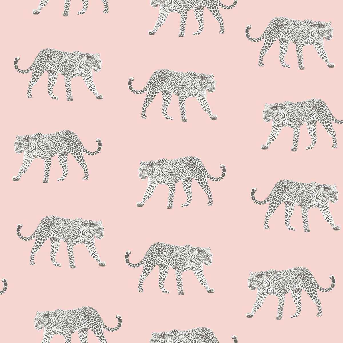Prowl Pink Jaguars Wallpaper - York Wallcoverings - DD139177 - York Wallcoverings Wallpaper