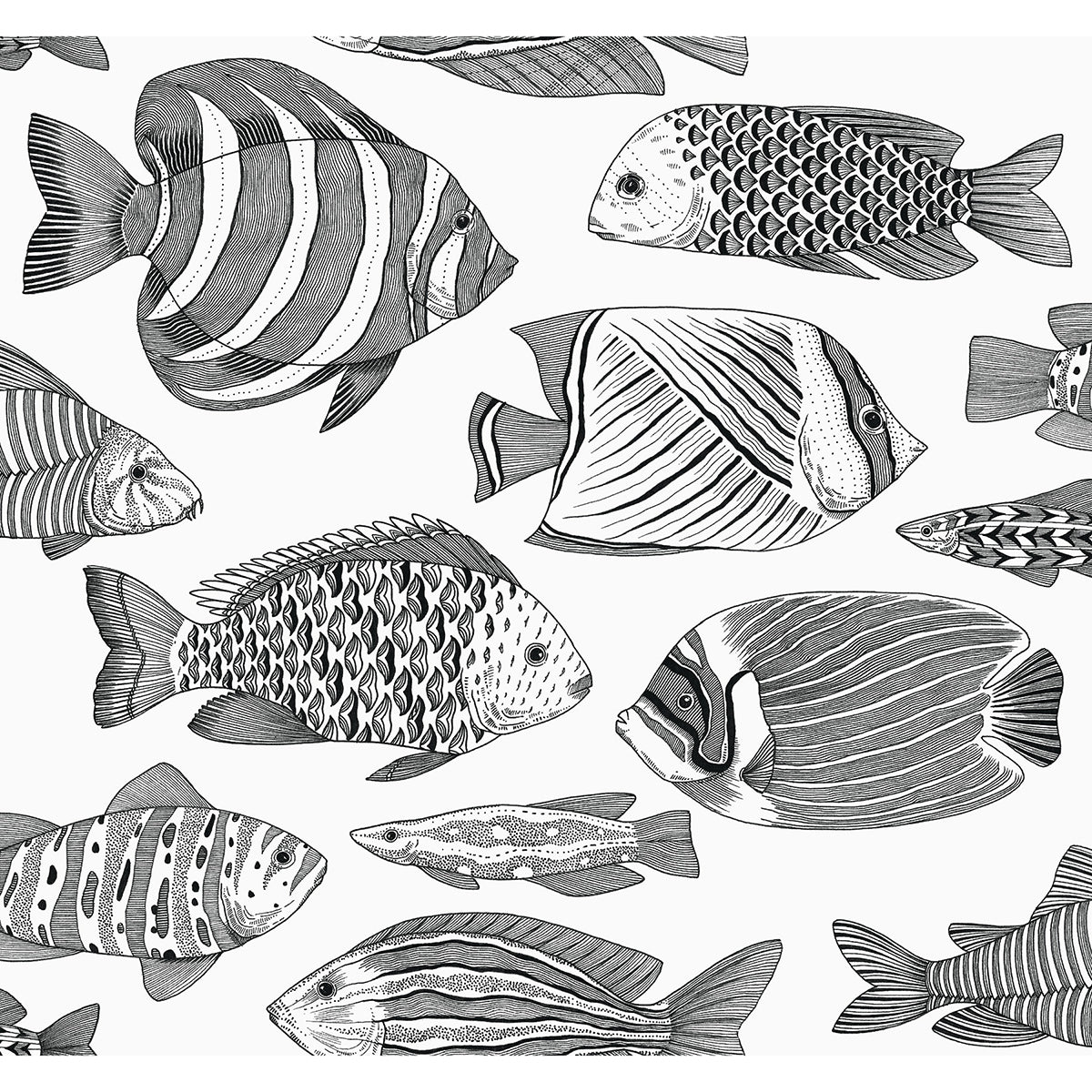 wailea-black-tropical-school-wallpaper-york-wallcoverings-2927-80200