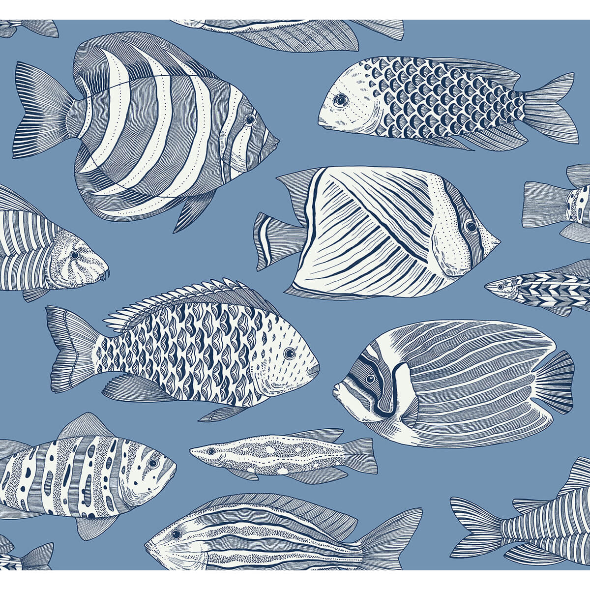wailea-sky-blue-tropical-school-wallpaper-york-wallcoverings-2927-80212 - York Wallcoverings Wallpaper