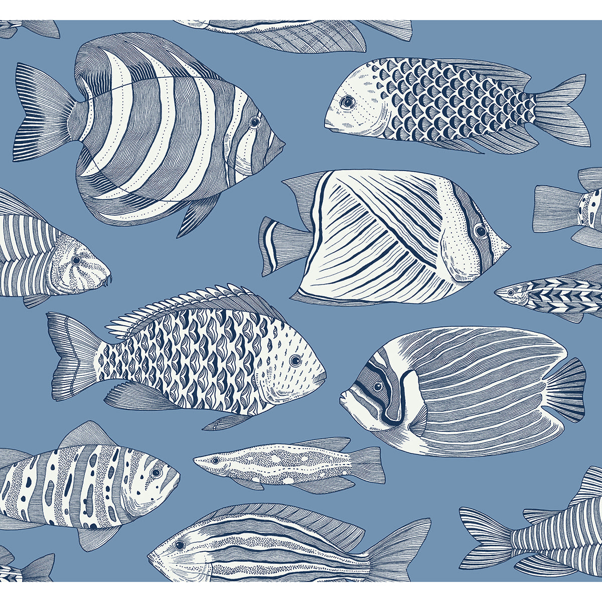 wailea-sky-blue-tropical-school-wallpaper-york-wallcoverings-2927-80212