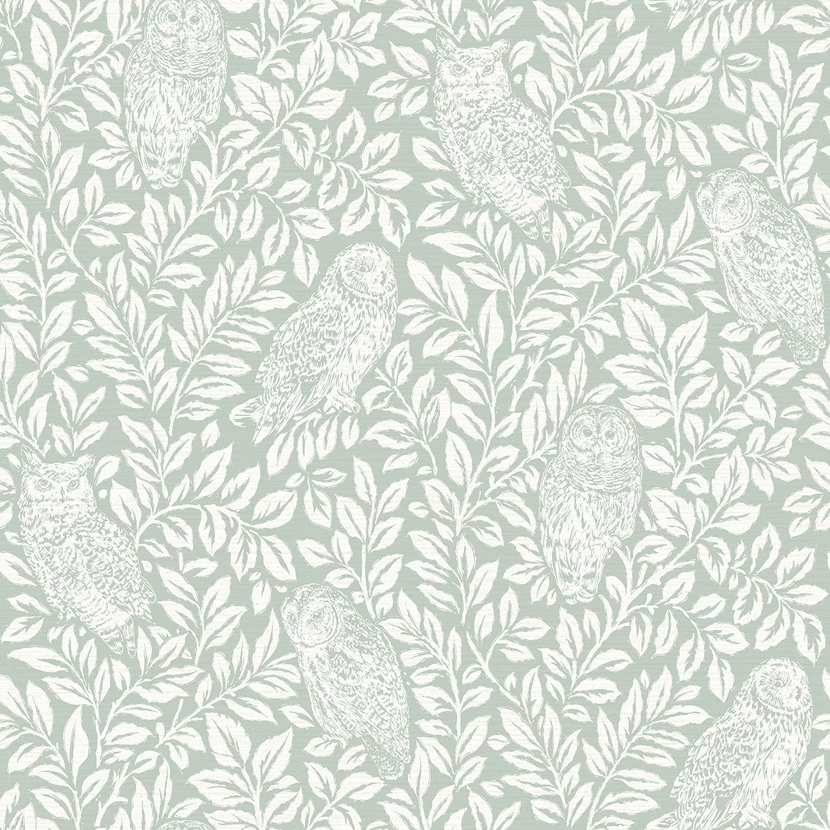 parliament-seafoam-owl-wallpaper-york-wallcoverings-3123-12414
