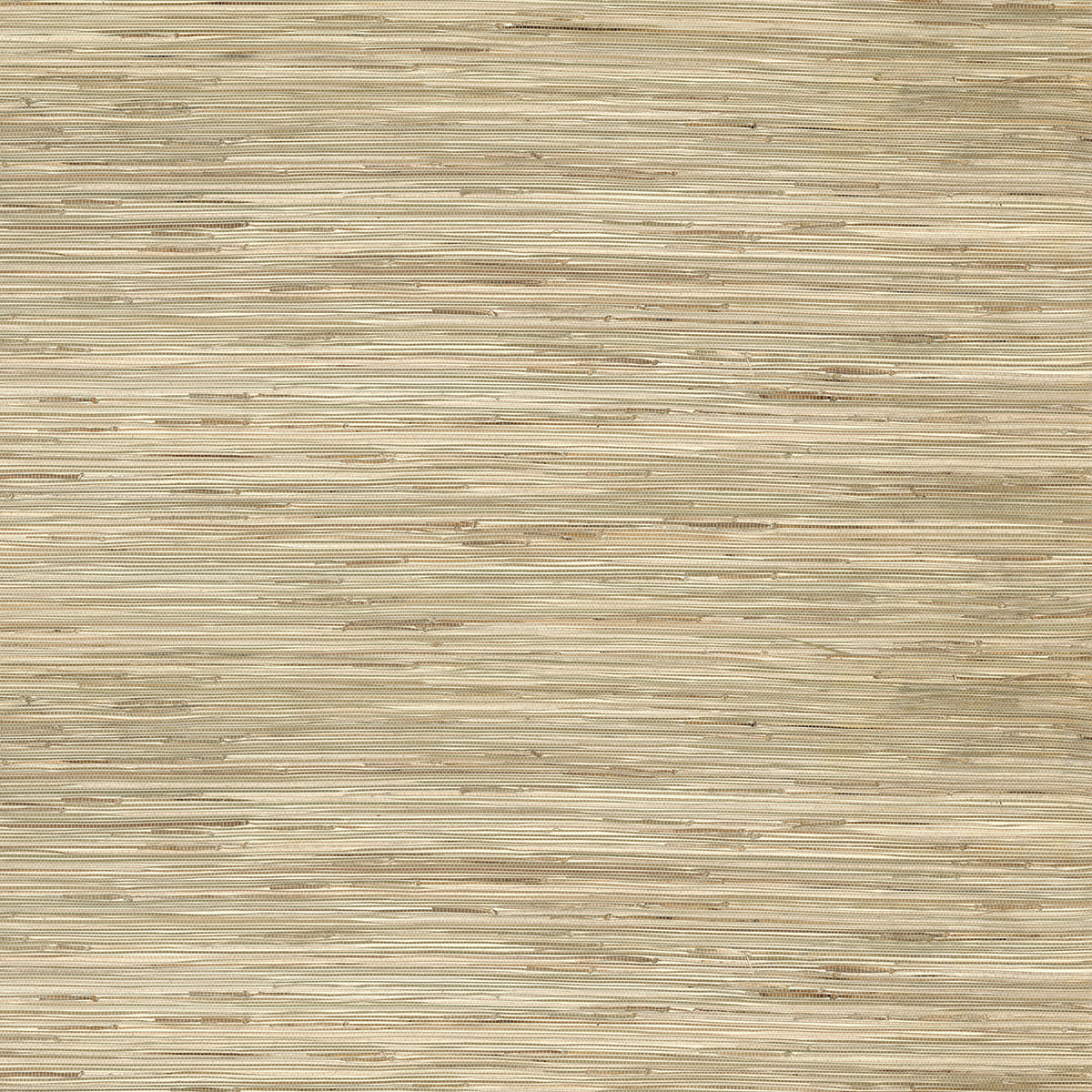 Sogen Khaki Knotted Sea Grasscloth Wallpaper - York Wallcoverings - 2972-65621