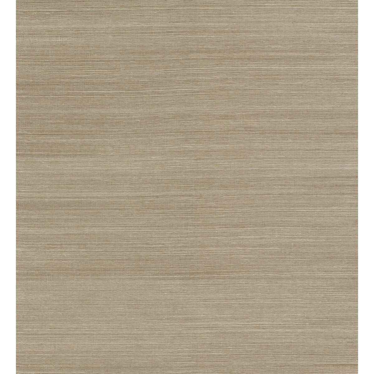 Sakiya Neutral Sisal Grasscloth Wallpaper - York Wallcoverings - 2972-86136 - York Wallcoverings Wallpaper