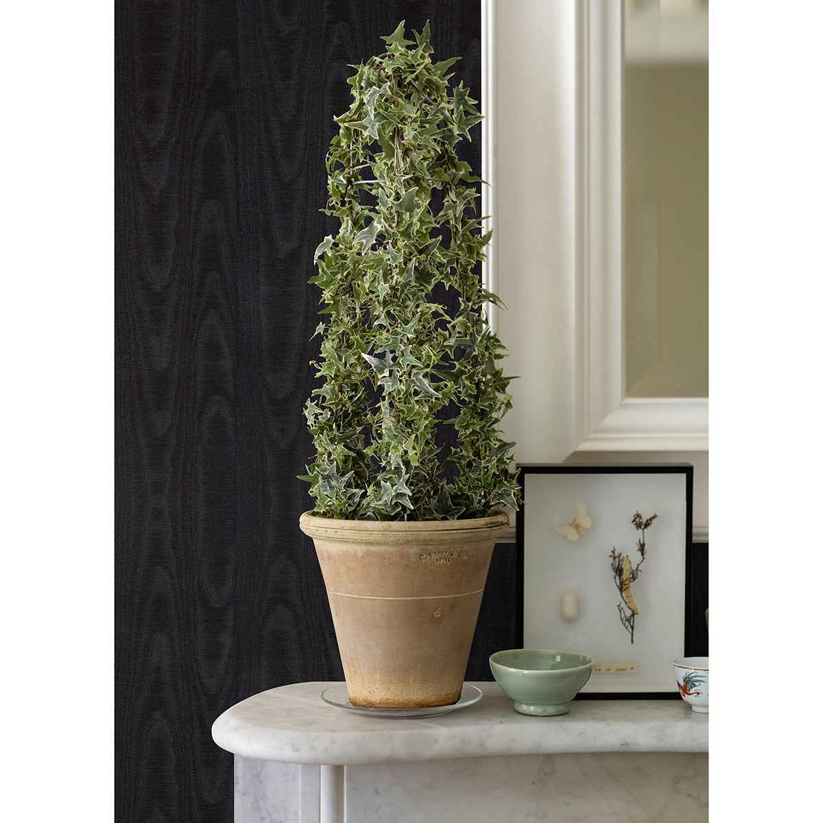 Angelina Black Moire Wallpaper - York Wallcoverings - 4058-24819 - York Wallcoverings Wallpaper