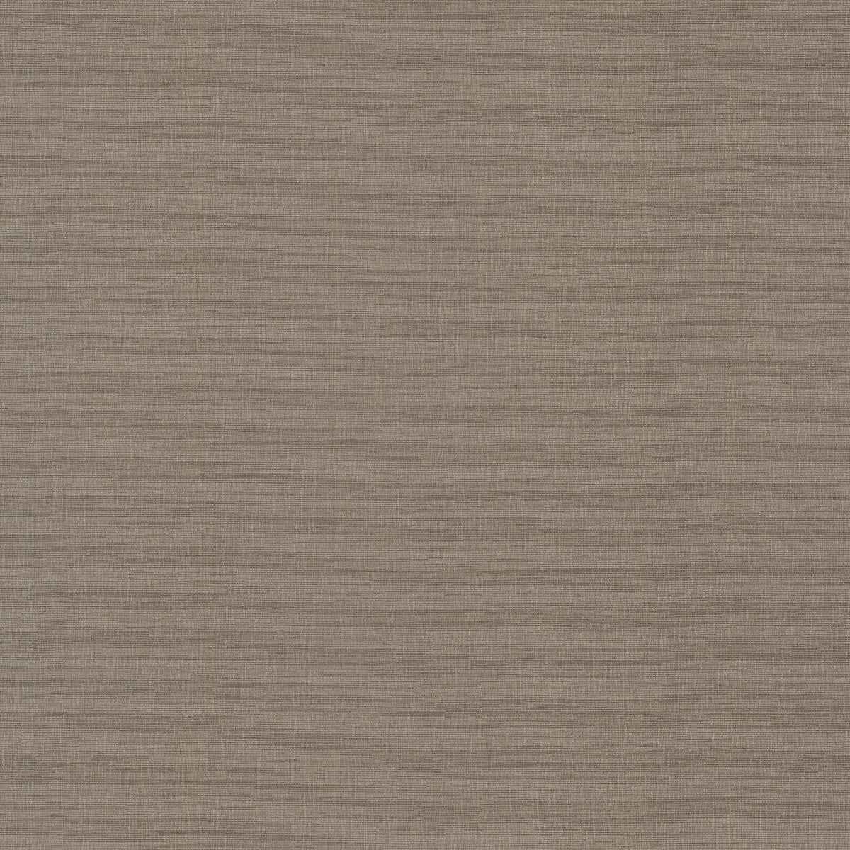 Koto Taupe Distressed Texture Wallpaper - York Wallcoverings - 2984-2208 - York Wallcoverings Wallpaper