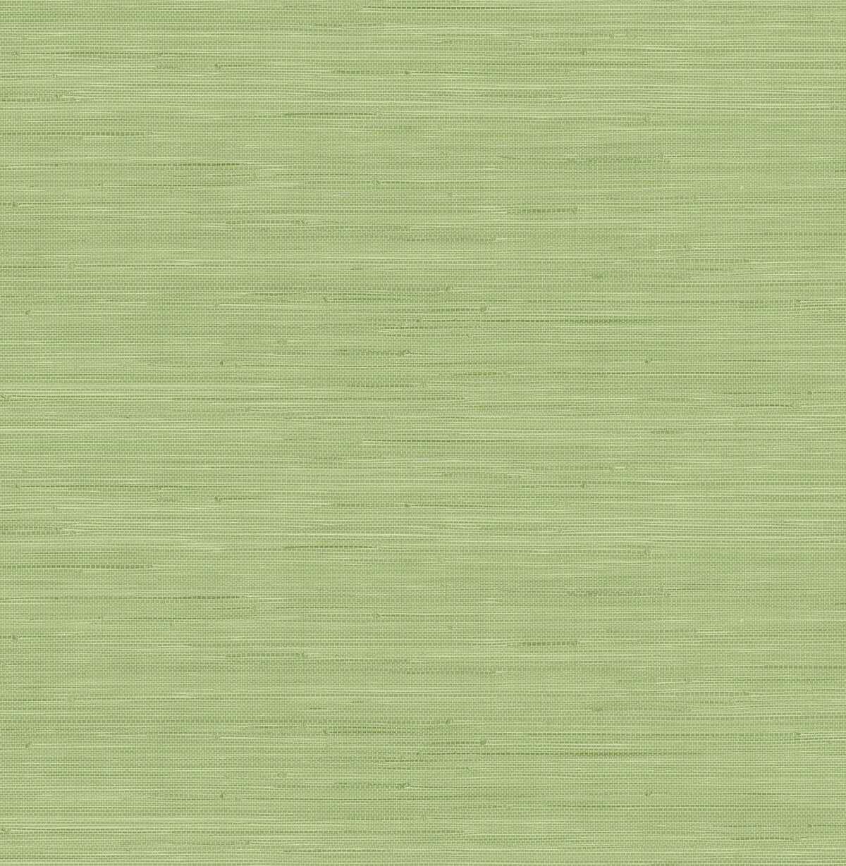 Citrus Green Classic Faux Grasscloth - York Wallcoverings - SSS4569