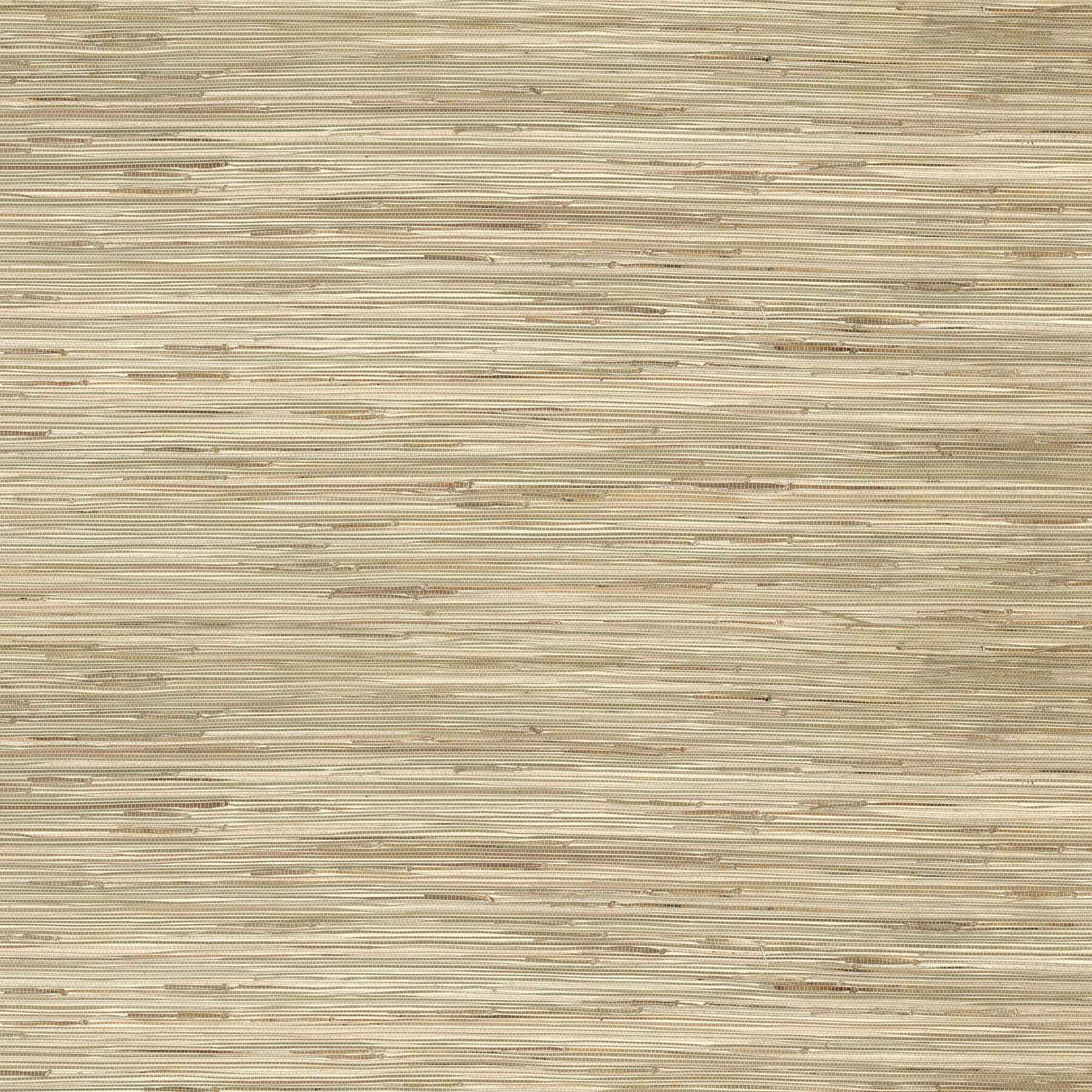 Sogen Neutral Knotted Grasscloth Wallpaper - York Wallcoverings - 2923-65621