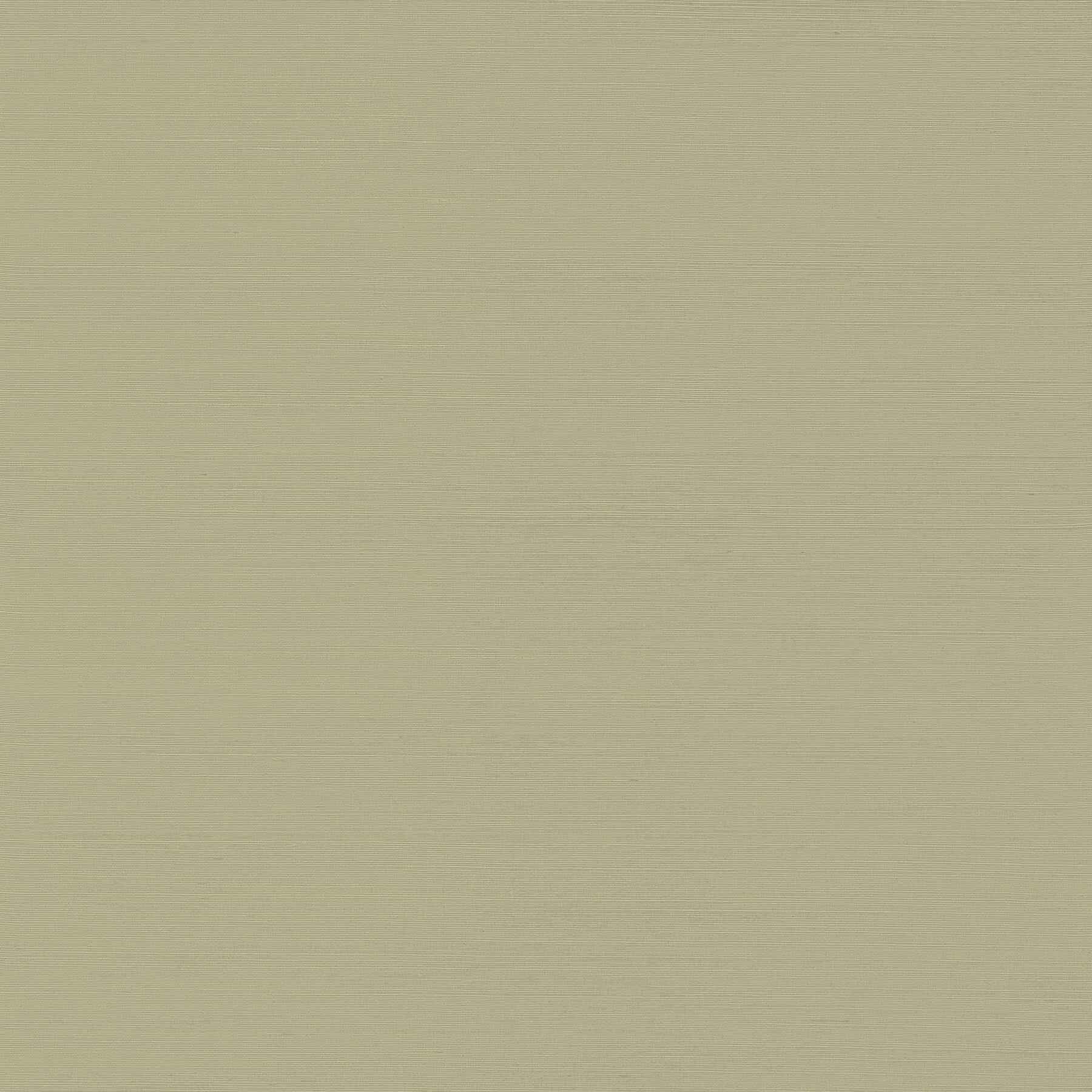Yunri Sage Sisal Grasscloth Wallpaper - York Wallcoverings - 2923-88050