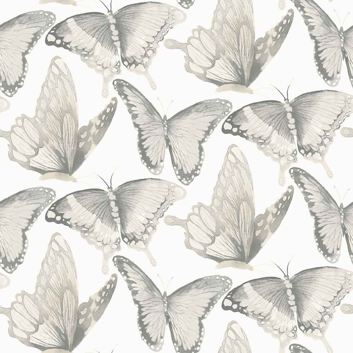 janetta-grey-butterfly-wallpaper-york-wallcoverings-3124-13931 - York Wallcoverings Wallpaper