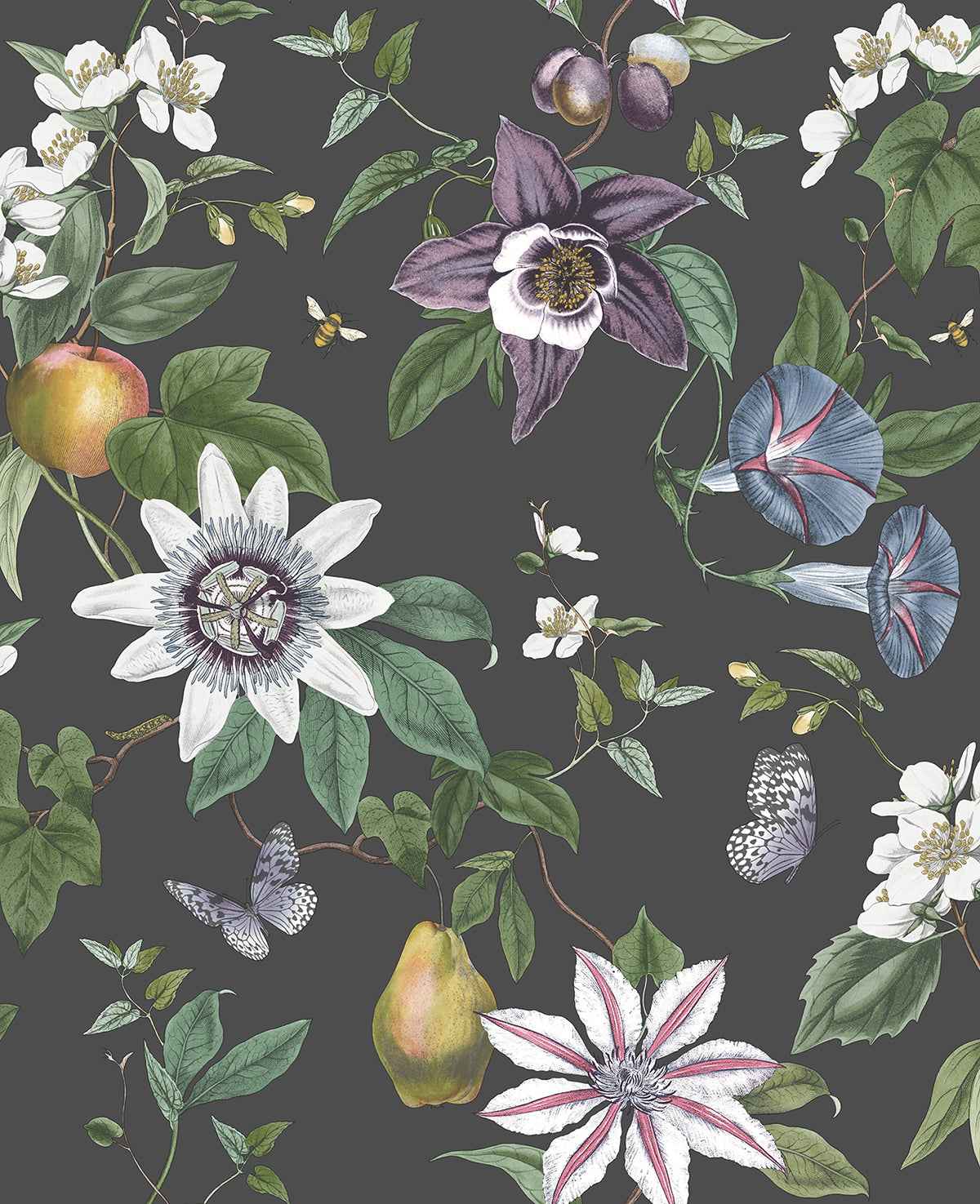 Sierra Black Floral Wallpaper - York Wallcoverings - FD43060 - York Wallcoverings Wallpaper