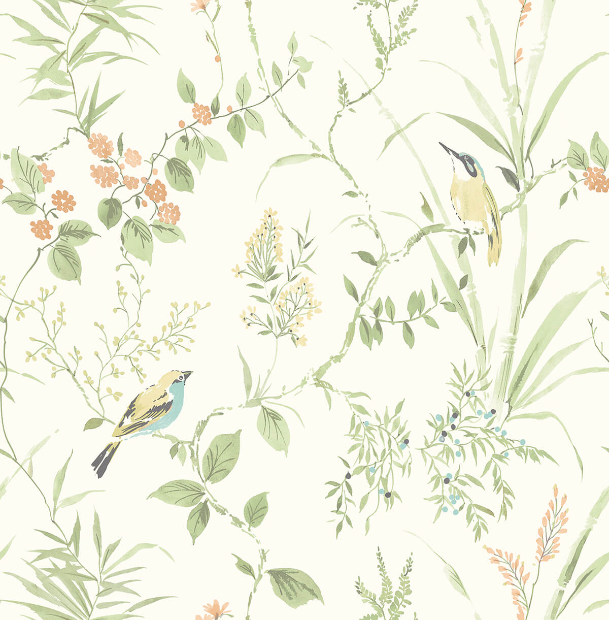 sage-songbird-peel-and-stick-wallpaper-york-wallcoverings-nus4470 - York Wallcoverings Wallpaper