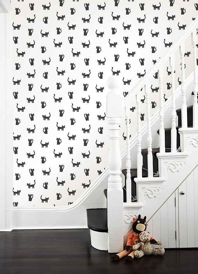 Delia Black Kitty Wallpaper - York Wallcoverings - 4060-138928 - York Wallcoverings Wallpaper