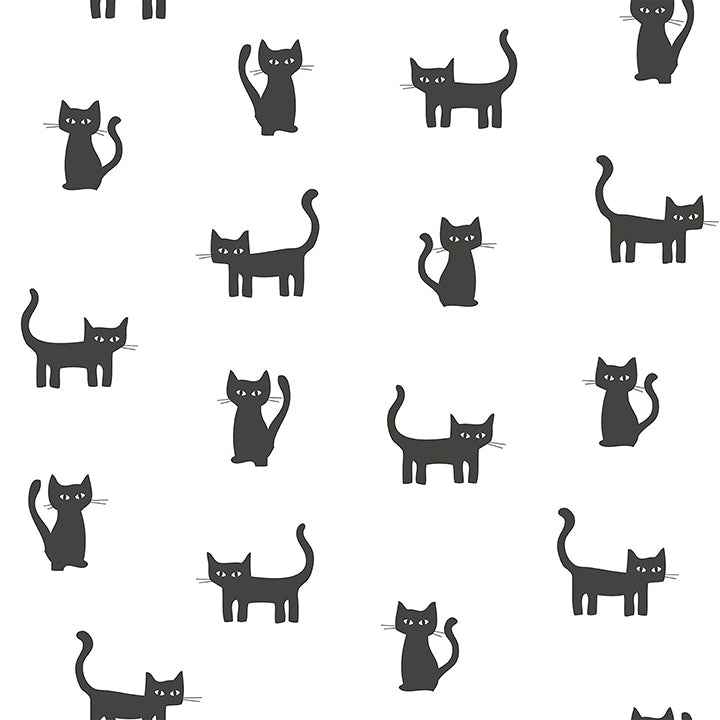 Delia Black Kitty Wallpaper - York Wallcoverings - 4060-138928 - York Wallcoverings Wallpaper