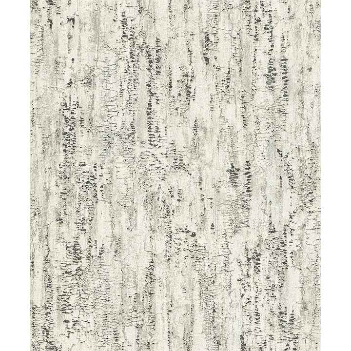 Colm Charcoal Birch Wallpaper - York Wallcoverings - 4096-554045
