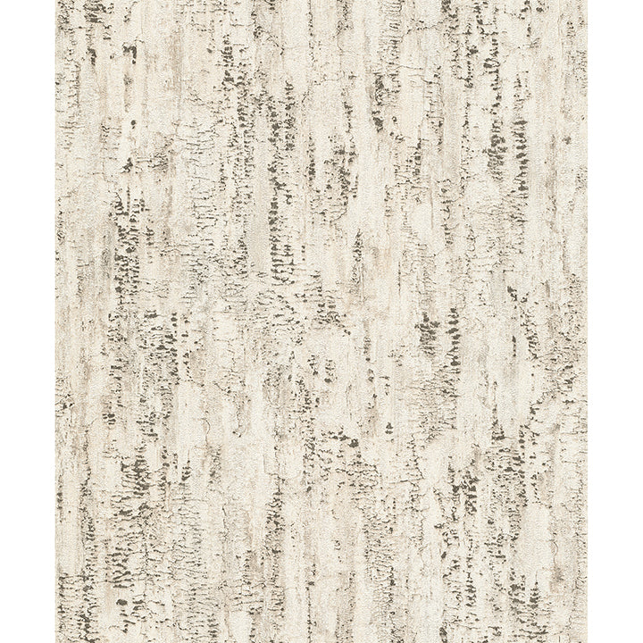colm-beige-birch-wallpaper-york-wallcoverings-4096-554052 - York Wallpaper Wallpaper