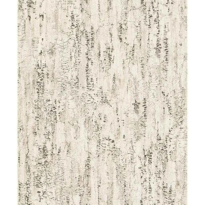 Colm Beige Birch Wallpaper - York Wallcoverings - 4096-554052 - York Wallcoverings Wallpaper