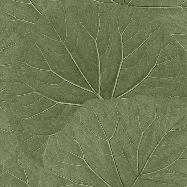 xylem-olive-large-leaves-wallpaper-york-wallcoverings-dd138995 - York Wallcoverings Wallpaper