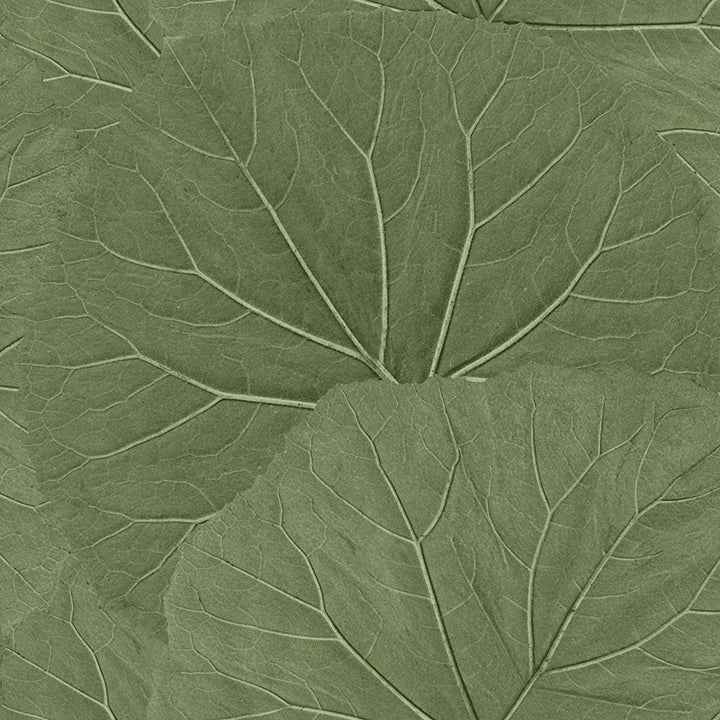 Xylem Olive Large Leaves Wallpaper - York Wallcoverings - DD138995