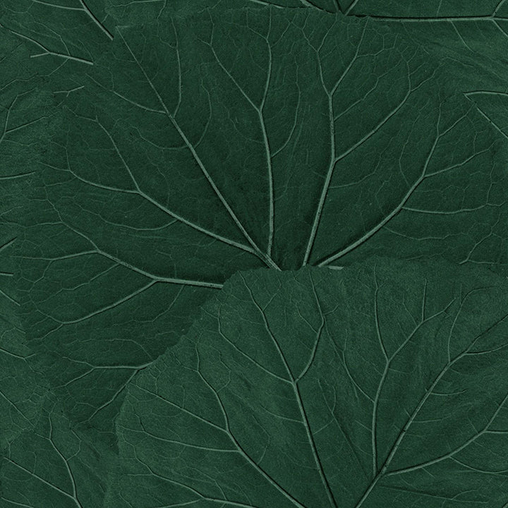 xylem-evergreen-large-leaves-wallpaper-york-wallcoverings-dd138997 - York Wallcoverings Papel pintado