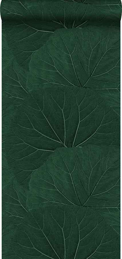Xylem Evergreen Large Leaves Wallpaper - York Wallcoverings - DD138997 - York Wallcoverings Wallpaper