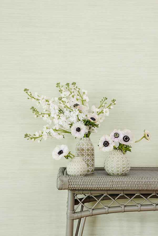 Cucumber Classic Faux Grasscloth Peel & - York Wallcoverings - SSS6007 - York Wallcoverings Wallpaper
