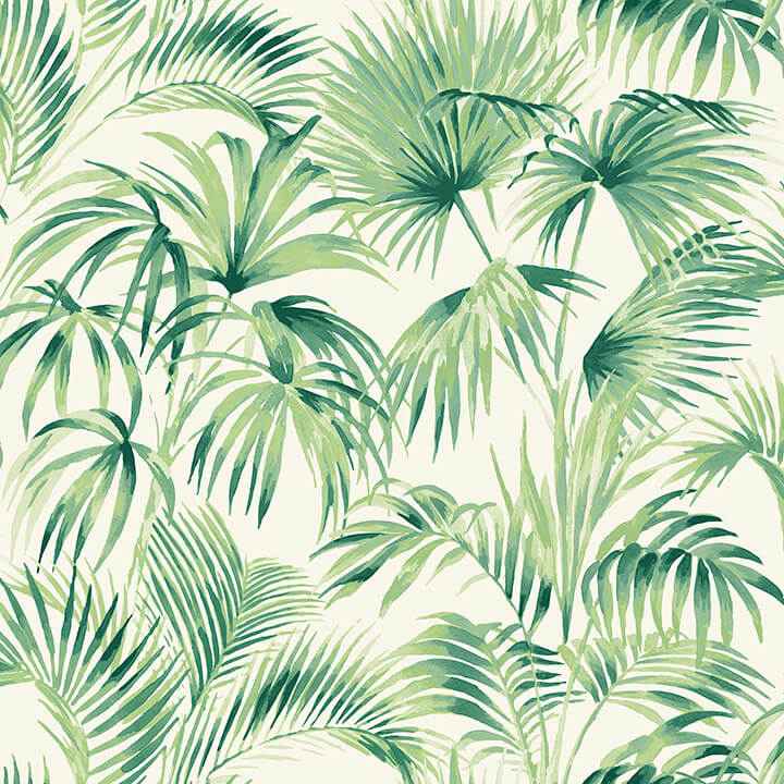 Manaus Green Palm Frond Wallpaper - York Wallcoverings - 4071-71014 - York Wallcoverings Wallpaper