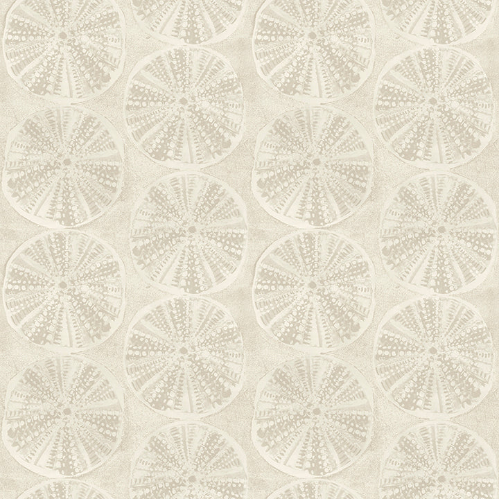 sea-biscuit-beige-sand-dollar-wallpaper-york-wallcoverings-4071-71027