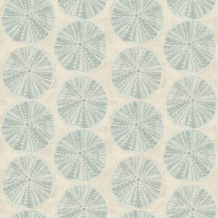 Sea Biscuit Aqua Sand Dollar Wallpaper - York Wallcoverings - 4071-71028 - York Wallcoverings Wallpaper