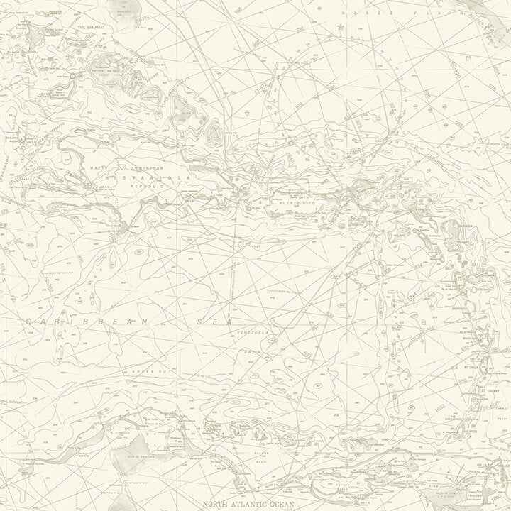 Charts Taupe Nautical Chart Wallpaper - York Wallcoverings - 4071-71057