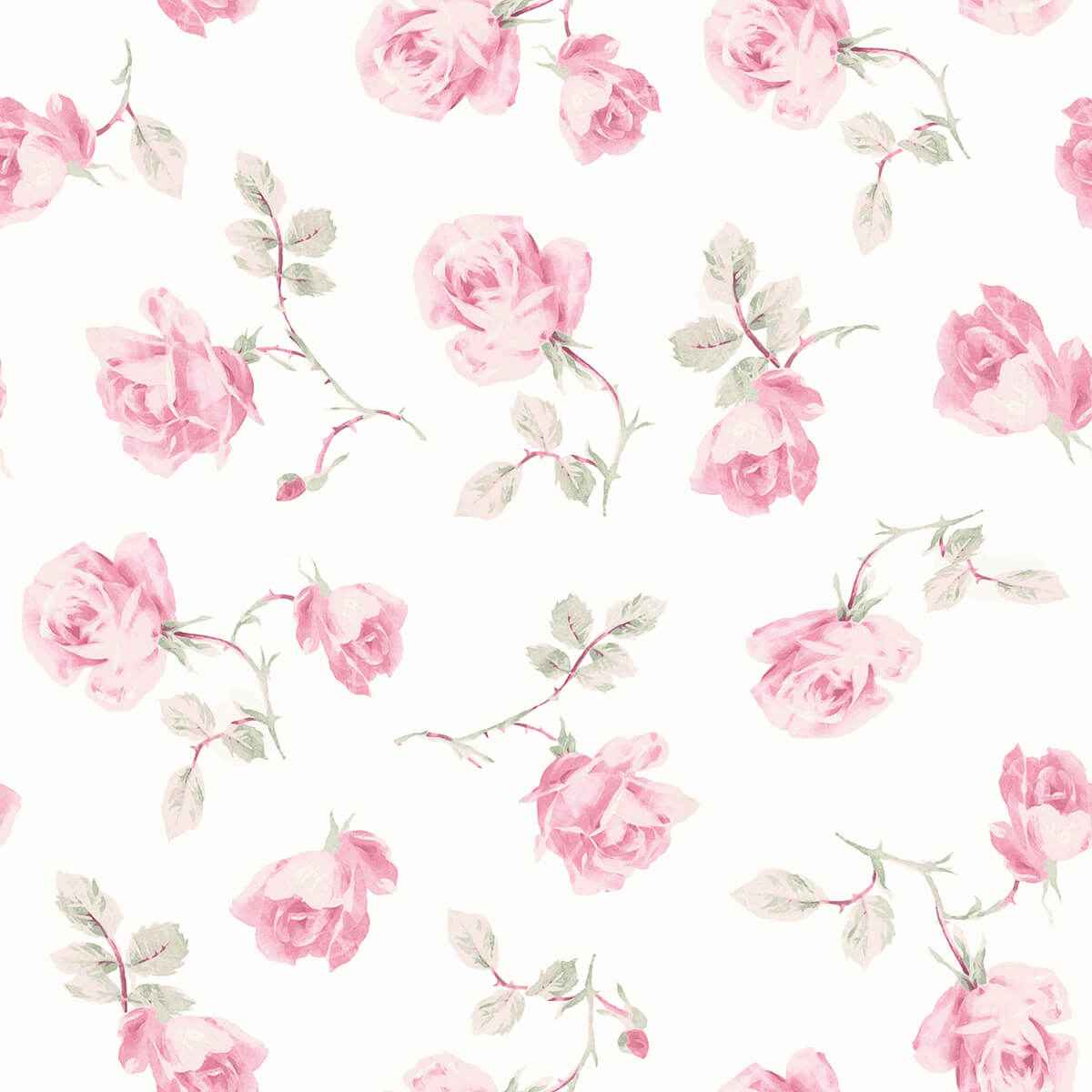 Ribbon Rosa Chateau Rose Loose Roses Wallpaper - York Wallcoverings - AST6084 - York Wallcoverings Wallpaper