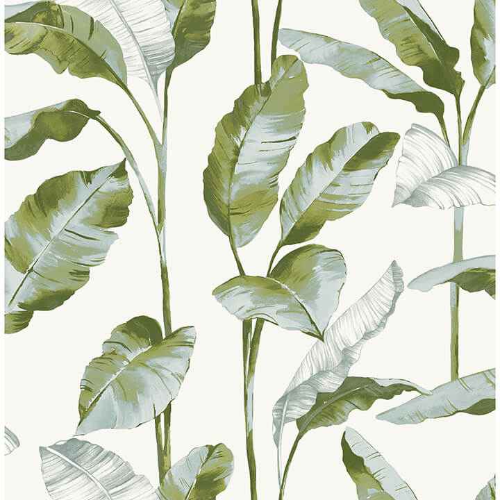 Green Banana Leaf Peel and Stick Wallpaper - York Wallcoverings - NUS4903