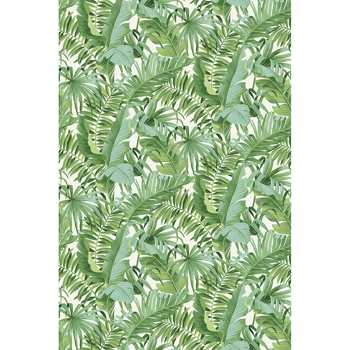 tropical-palm-leaf-green-wall-mural-york-wallcoverings-astm5047 - York Wallcoverings Wallpaper