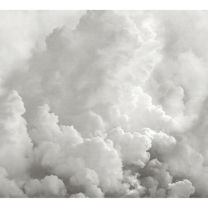 in-the-clouds-dove-grey-wall-mural-york-wallcoverings-astm5054