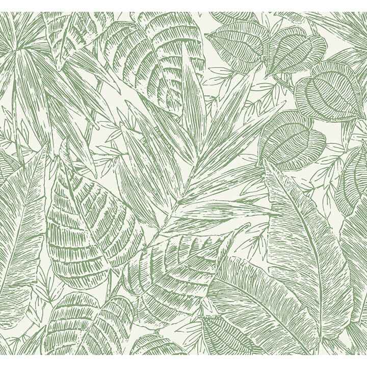 brentwood-green-palm-leaves-wallpaper-york-wallcoverings-4034-72116 - York Wallcoverings Wallpaper
