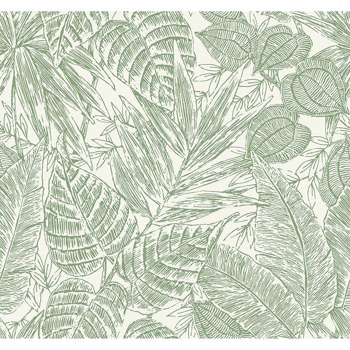 brentwood-green-palm-leaves-wallpaper-by-scott-living-york-wallcoverings