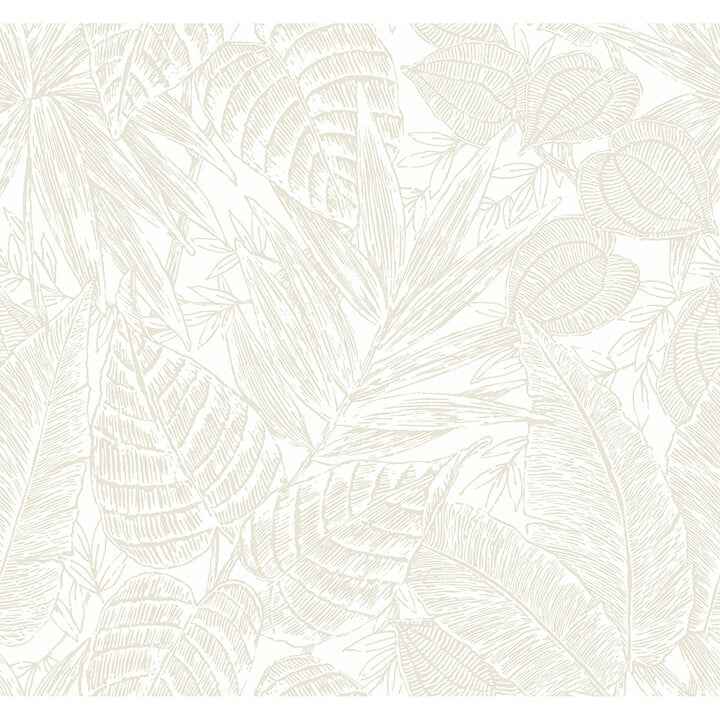 brentwood-bone-palm-leaves-wallpaper-york-wallcoverings-4034-72118 - York Wallcoverings Wallpaper