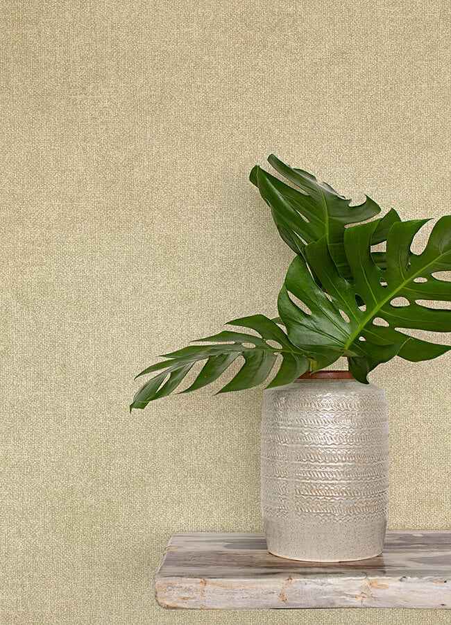 Homespun Light Brown Textured Wallpaper - York Wallcoverings - 3125-72358 - York Wallcoverings Wallpaper