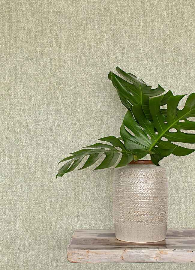 Homespun Green Textured Wallpaper - York Wallcoverings - 3125-72361 - York Wallcoverings Wallpaper