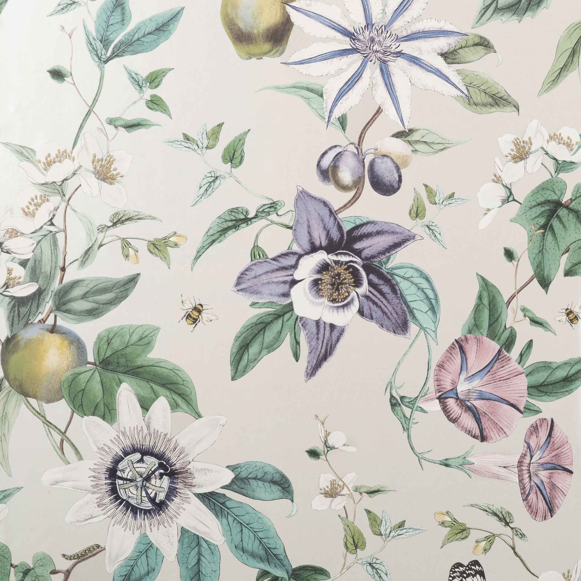 Sierra Silver Floral Wallpaper - York Wallcoverings - 4157-43059 - York Wallcoverings Wallpaper