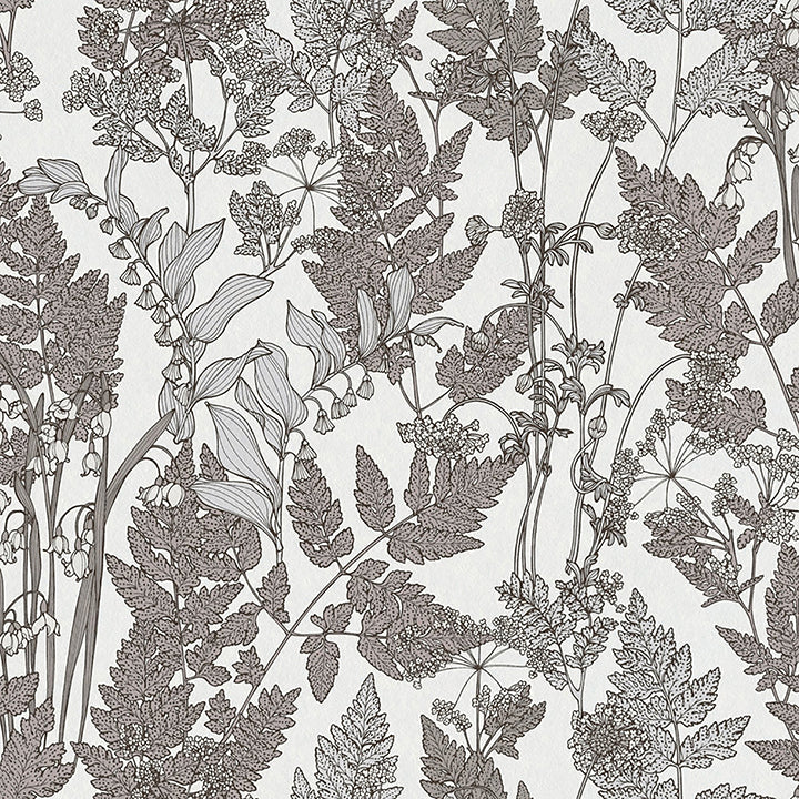 ayla-light-grey-wildflowers-wallpaper-york-wallcoverings-as377521 - York Wallcoverings Wallpaper
