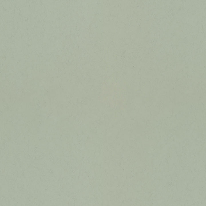parget-vr-light-green-textured-wallpaper-york-wallcoverings-4153-77004