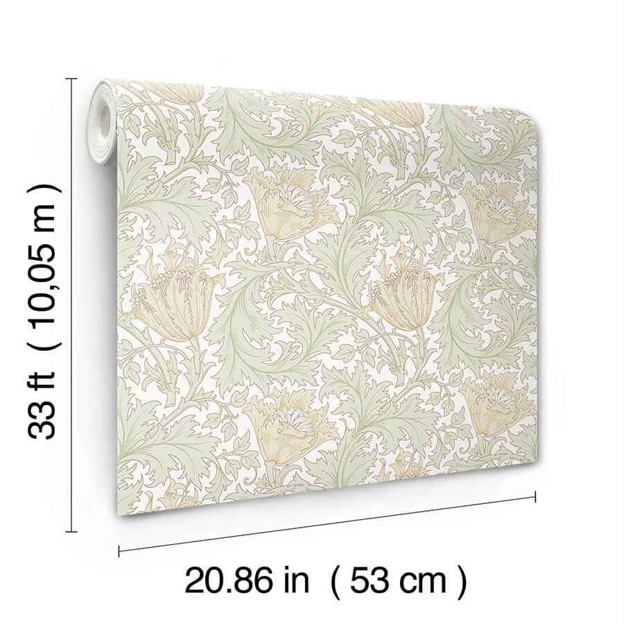 Anemone Light Green Floral Trail Wallpaper - York Wallcoverings - 4153-82002 - York Wallcoverings Wallpaper