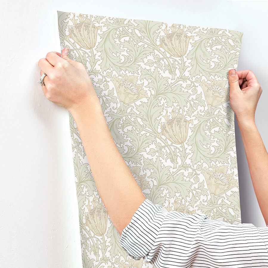Anemone Light Green Floral Trail Wallpaper - York Wallcoverings - 4153-82002 - York Wallcoverings Wallpaper