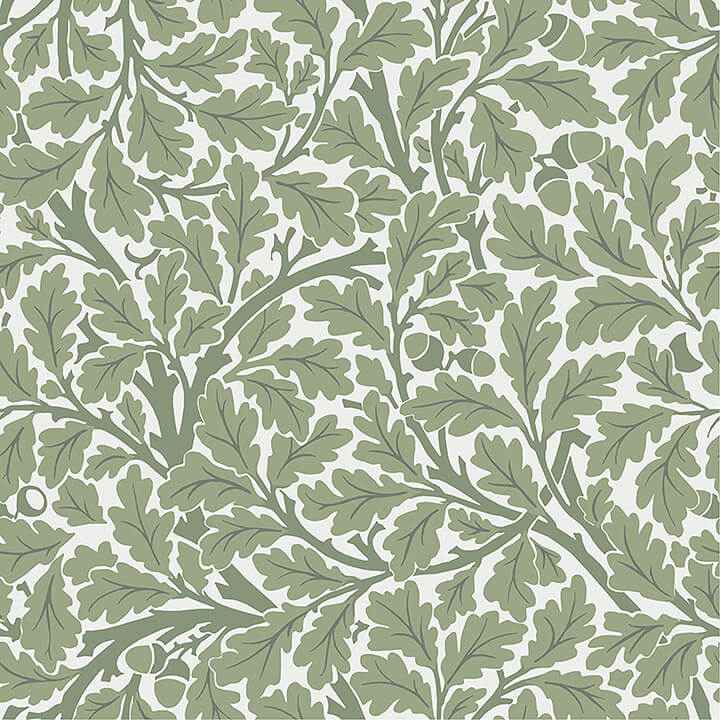 Oak Tree Green Leaf Wallpaper - York Wallcoverings - 4153-82028