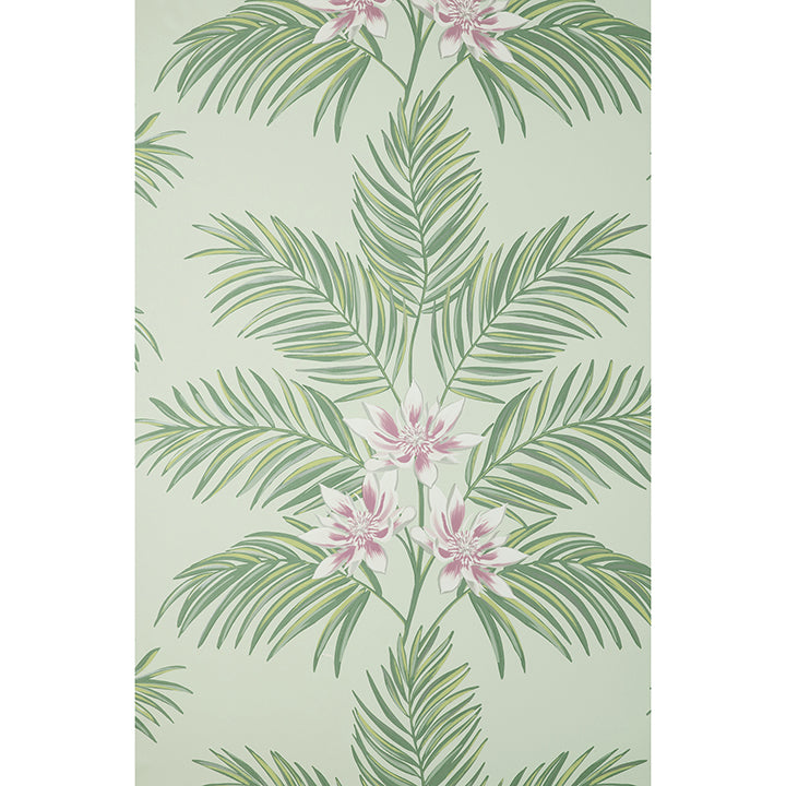 bali-sage-palm-wallpaper-york-wallcoverings-fd43278 - York Wallcoverings Wallpaper